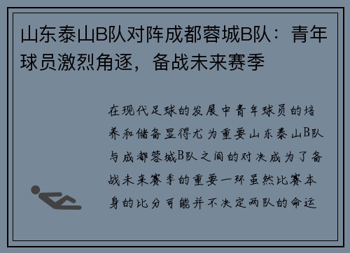 山东泰山B队对阵成都蓉城B队：青年球员激烈角逐，备战未来赛季